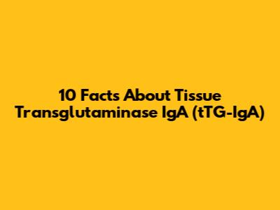 10 Facts About Tissue Transglutaminase IgA (tTG-IgA)