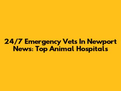 24/7 Emergency Vets In Newport News: Top Animal Hospitals