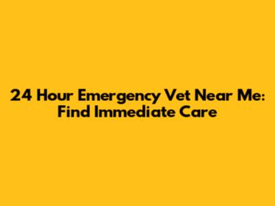 24 Hour Emergency Vet Near Me: Find Immediate Care