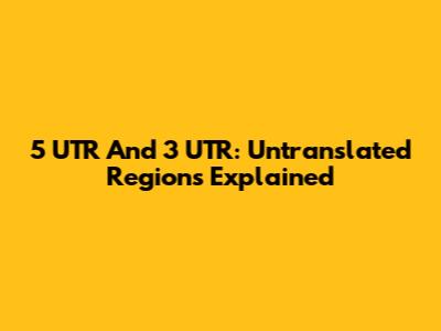 5' UTR And 3' UTR: Untranslated Regions Explained