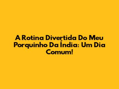A Rotina Divertida Do Meu Porquinho Da Índia: Um Dia Comum!