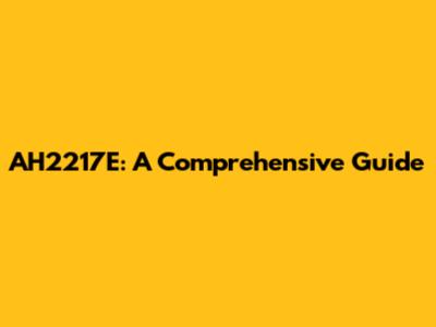 AH2217E: A Comprehensive Guide