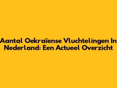Aantal Oekraïense Vluchtelingen In Nederland: Een Actueel Overzicht
