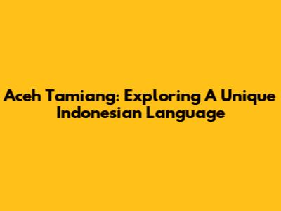 Aceh Tamiang: Exploring A Unique Indonesian Language