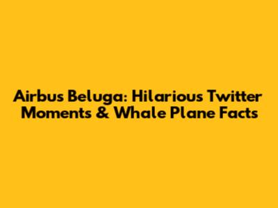 Airbus Beluga: Hilarious Twitter Moments & Whale Plane Facts