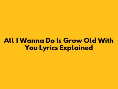 All I Wanna Do Is Grow Old With You Lyrics Explained