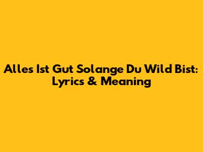 Alles Ist Gut Solange Du Wild Bist: Lyrics & Meaning