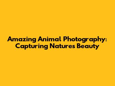 Amazing Animal Photography: Capturing Nature's Beauty