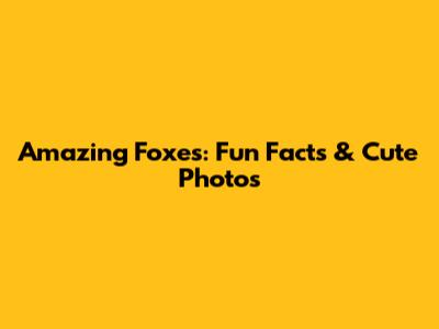 Amazing Foxes: Fun Facts & Cute Photos