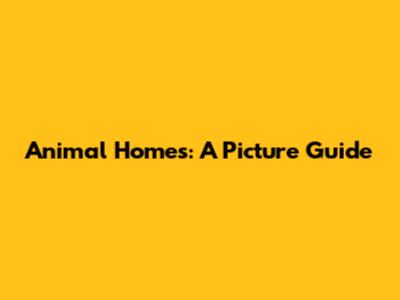 Animal Homes: A Picture Guide