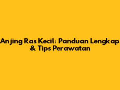 Anjing Ras Kecil: Panduan Lengkap & Tips Perawatan