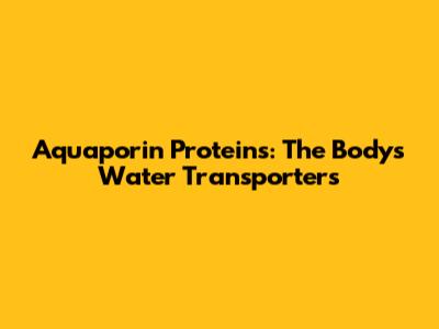 Aquaporin Proteins: The Body's Water Transporters