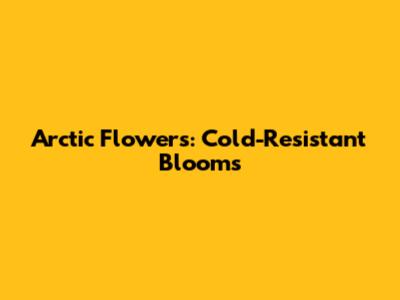 Arctic Flowers: Cold-Resistant Blooms