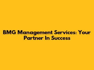 BMG Management Services: Your Partner In Success