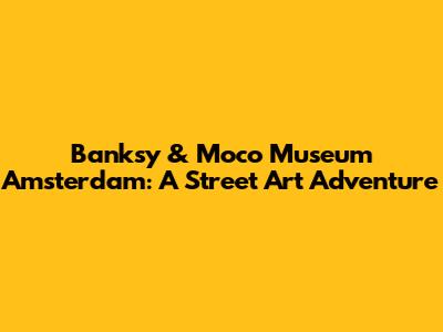 Banksy & Moco Museum Amsterdam: A Street Art Adventure