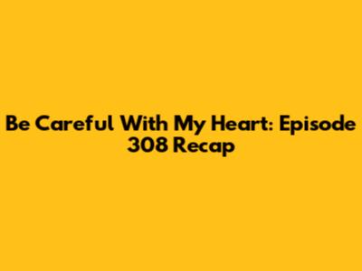 Be Careful With My Heart: Episode 308 Recap