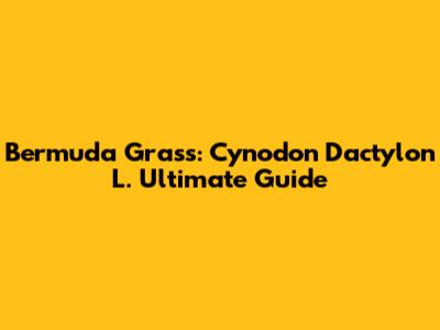 Bermuda Grass: Cynodon Dactylon L. Ultimate Guide