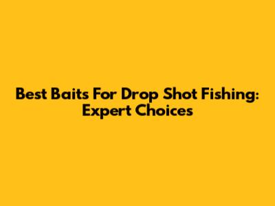 Best Baits For Drop Shot Fishing: Expert Choices