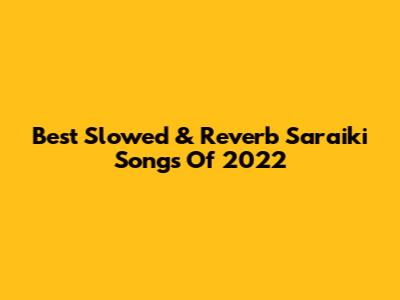Best Slowed & Reverb Saraiki Songs Of 2022
