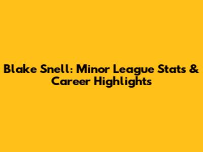 Blake Snell: Minor League Stats & Career Highlights