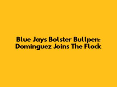 Blue Jays Bolster Bullpen: Dominguez Joins The Flock
