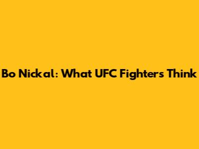 Bo Nickal: What UFC Fighters Think