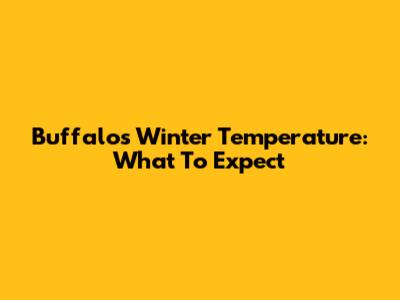 Buffalo's Winter Temperature: What To Expect