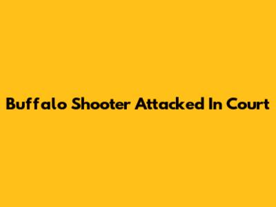 Buffalo Shooter Attacked In Court