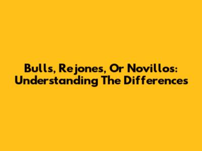 Bulls, Rejones, Or Novillos: Understanding The Differences