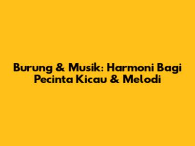 Burung & Musik: Harmoni Bagi Pecinta Kicau & Melodi
