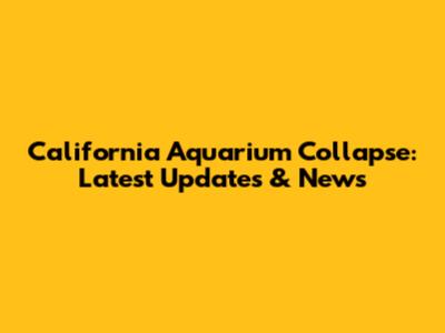 California Aquarium Collapse: Latest Updates & News