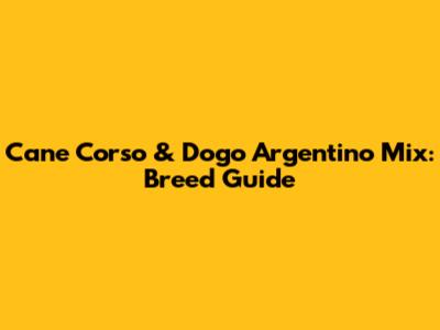 Cane Corso & Dogo Argentino Mix: Breed Guide
