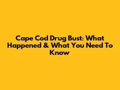 Cape Cod Drug Bust: What Happened & What You Need To Know