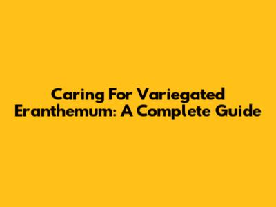 Caring For Variegated Eranthemum: A Complete Guide