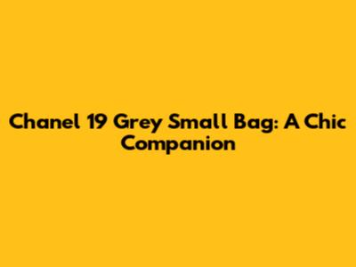 Chanel 19 Grey Small Bag: A Chic Companion