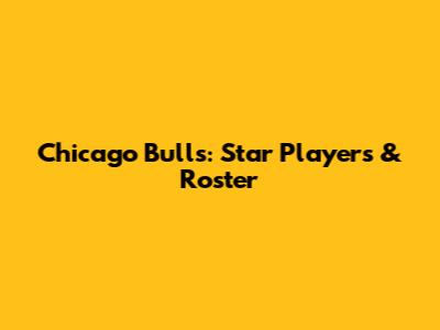 Chicago Bulls: Star Players & Roster