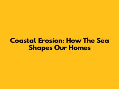 Coastal Erosion: How The Sea Shapes Our Homes