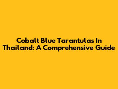 Cobalt Blue Tarantulas In Thailand: A Comprehensive Guide