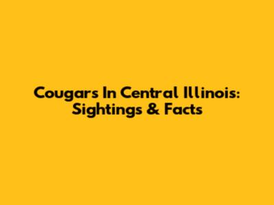 Cougars In Central Illinois: Sightings & Facts