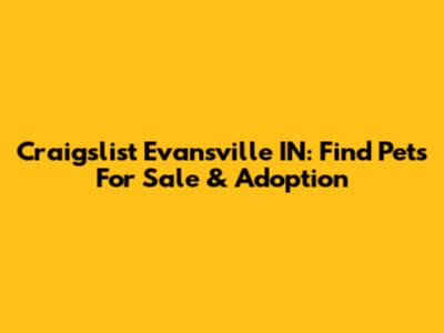 Craigslist Evansville IN: Find Pets For Sale & Adoption