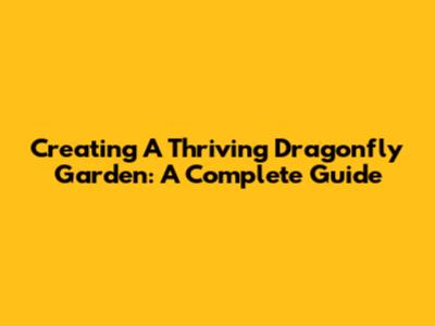 Creating A Thriving Dragonfly Garden: A Complete Guide