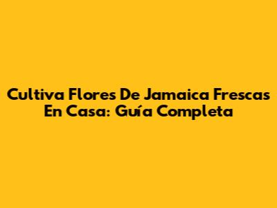 Cultiva Flores De Jamaica Frescas En Casa: Guía Completa