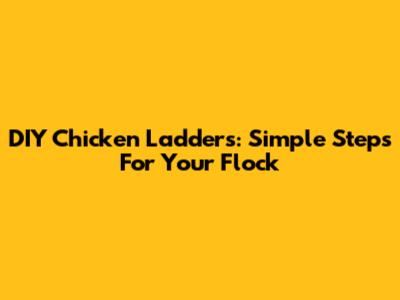 DIY Chicken Ladders: Simple Steps For Your Flock