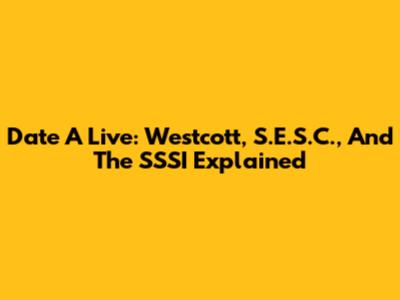 Date A Live: Westcott, S.E.S.C., And The SSSI Explained