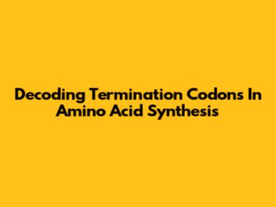 Decoding Termination Codons In Amino Acid Synthesis