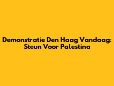 Demonstratie Den Haag Vandaag: Steun Voor Palestina