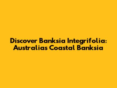 Discover Banksia Integrifolia: Australia's Coastal Banksia