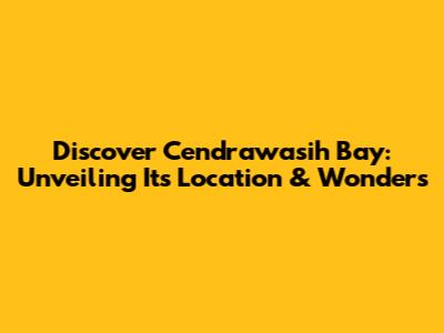 Discover Cendrawasih Bay: Unveiling Its Location & Wonders