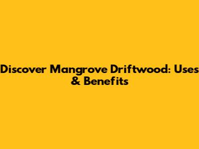 Discover Mangrove Driftwood: Uses & Benefits