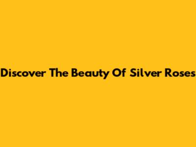 Discover The Beauty Of Silver Roses